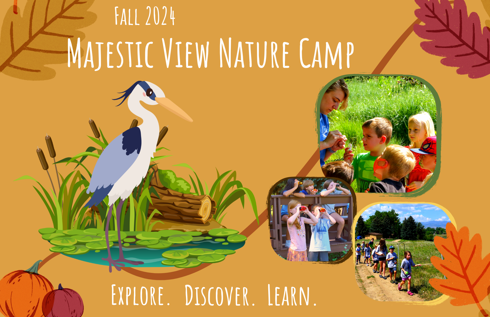 Fall 2024 Majestic View Nature Camp. Explore. Discover. Learn.