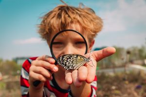 kid looking at butterfly with magnifying glass