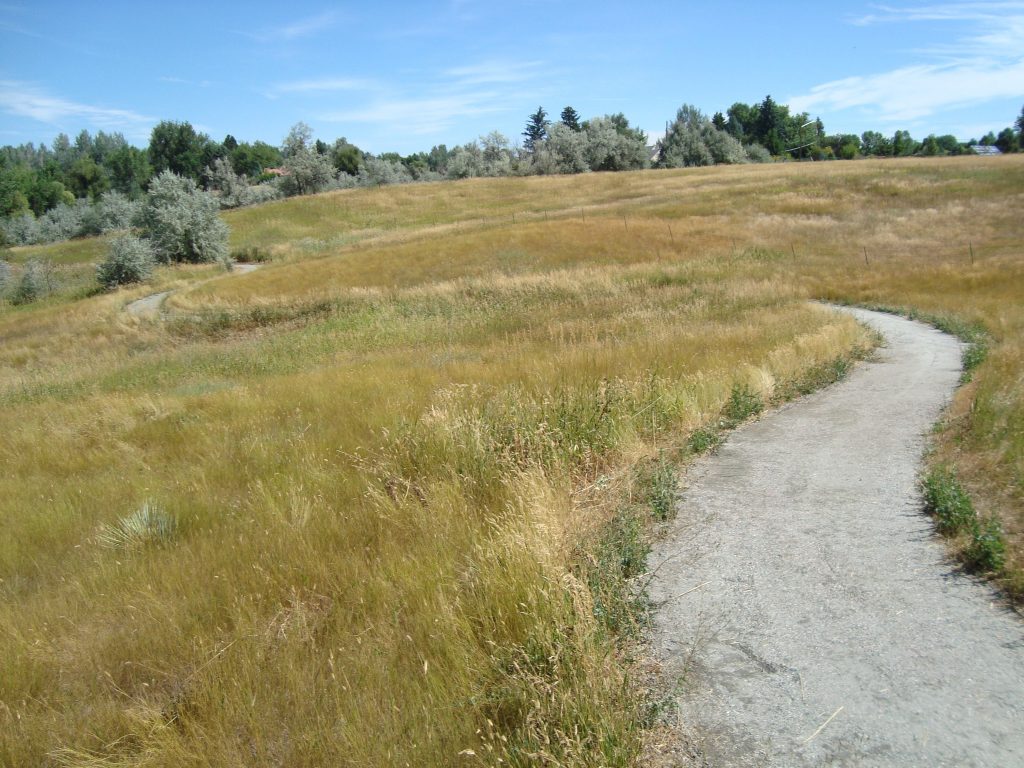 cattail trail in majestic view park