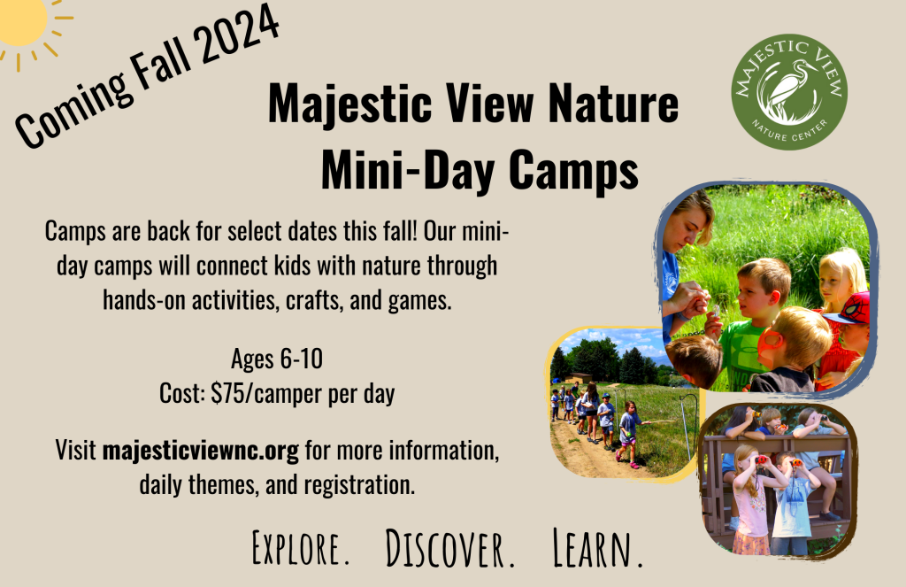 mini camp promo flyer for fall 2024