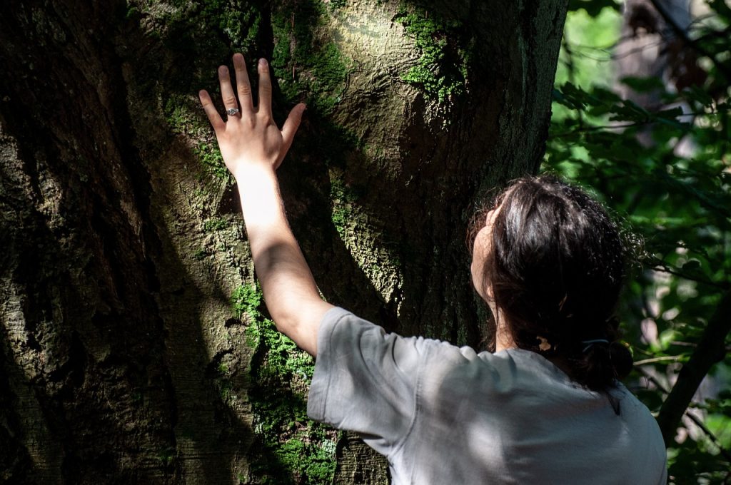 Person touching a tree