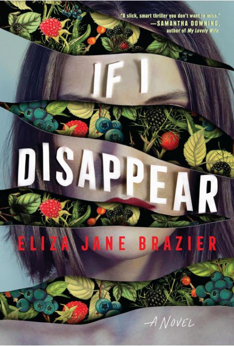 Cover of book If I Disappear