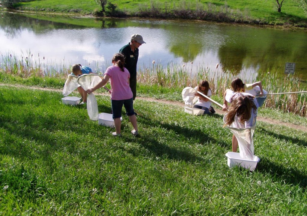 Kids catching insects with naturalist