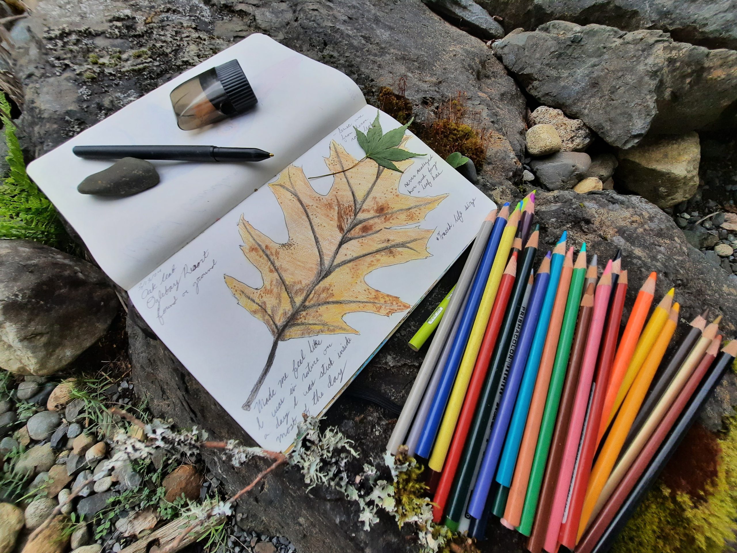 Colored pencils and journal showing a drawn leaf sitting on a rock
