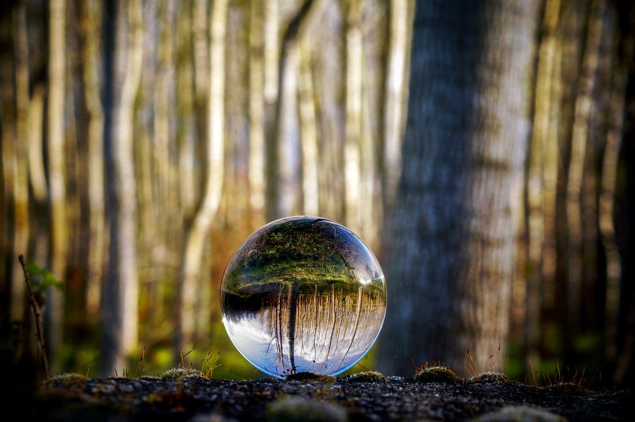 Glass sphere reflecting leafless trees.