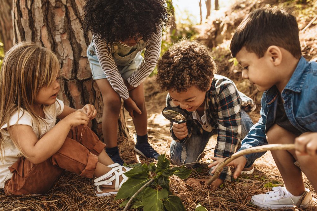 Children in forest looking at leaves together with the magnifying glass.