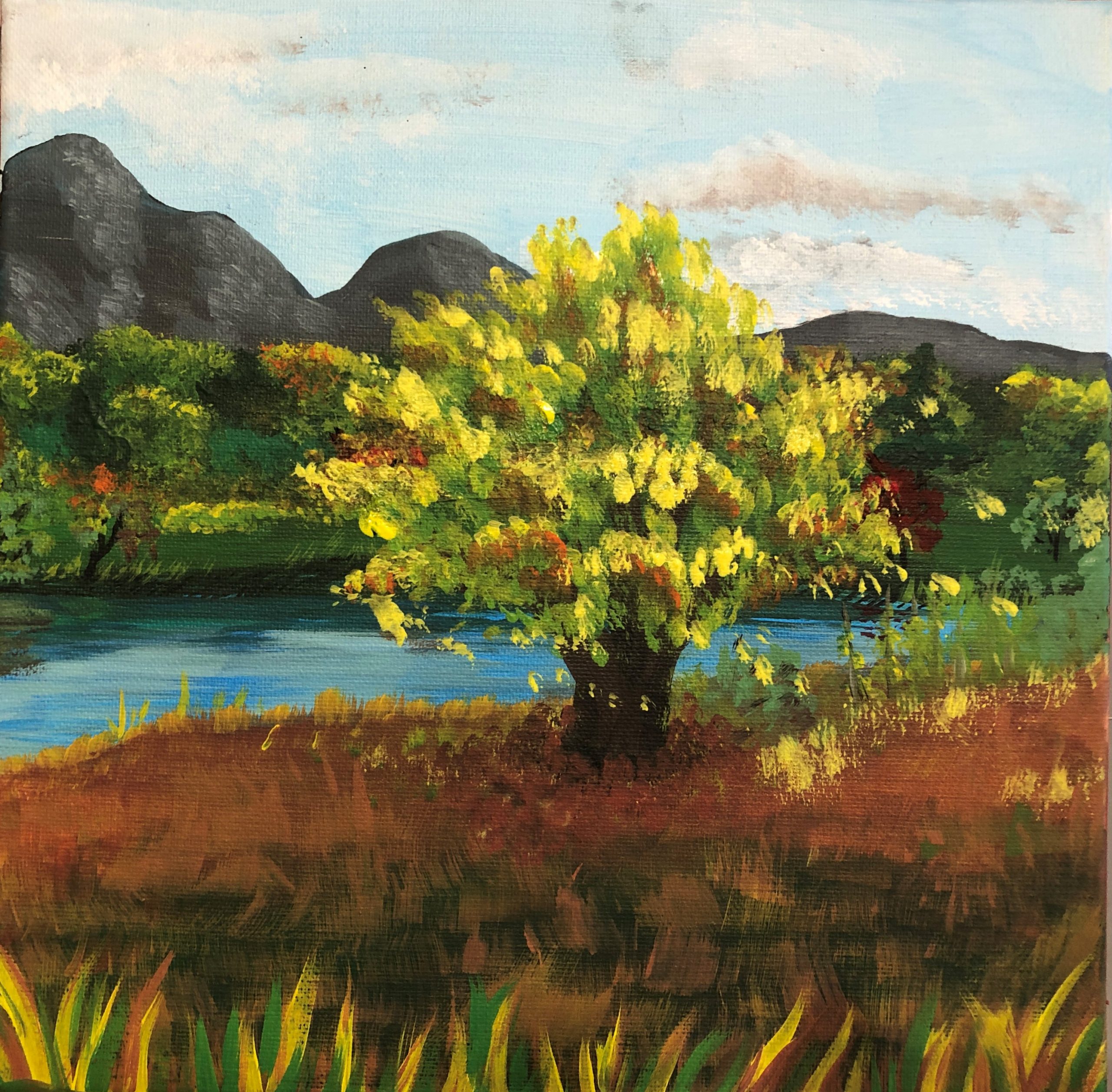 acrylic oberon lake and willow tree