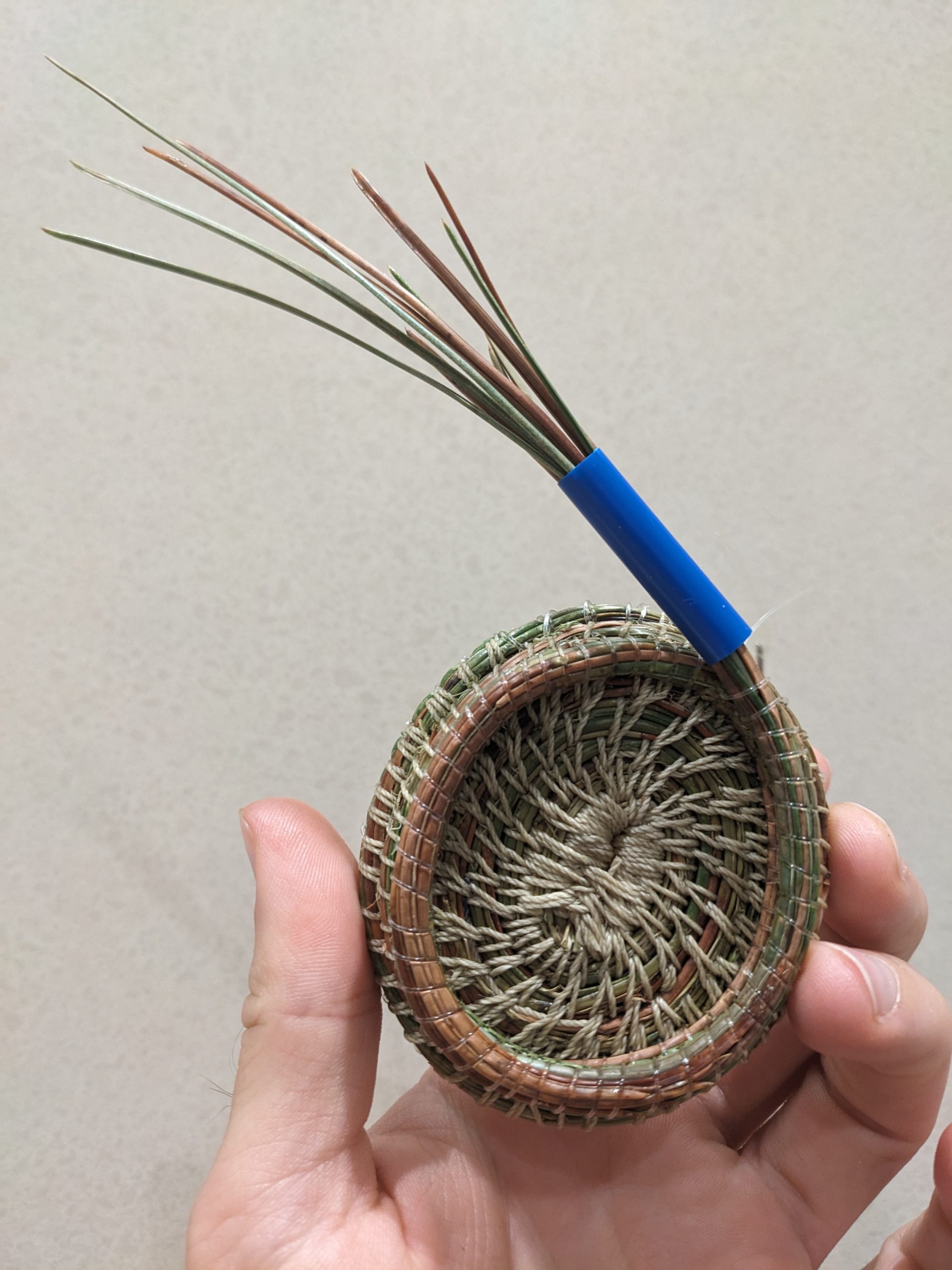 Pine needle basket being woven