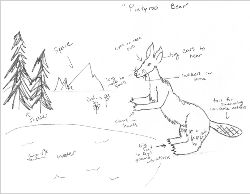 "platyroo bear project example sketch