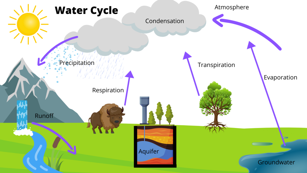 Water Cycle graphic