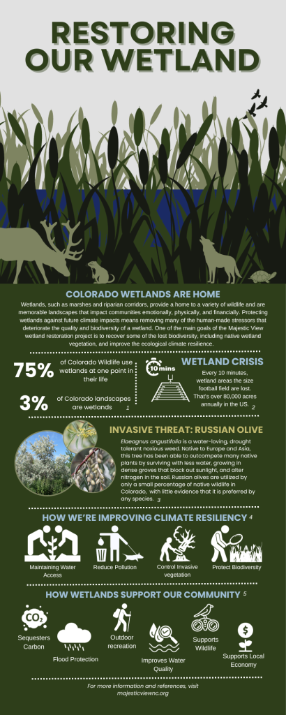 Wetland restoration infographic