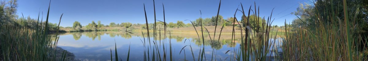 oberon lake panorama