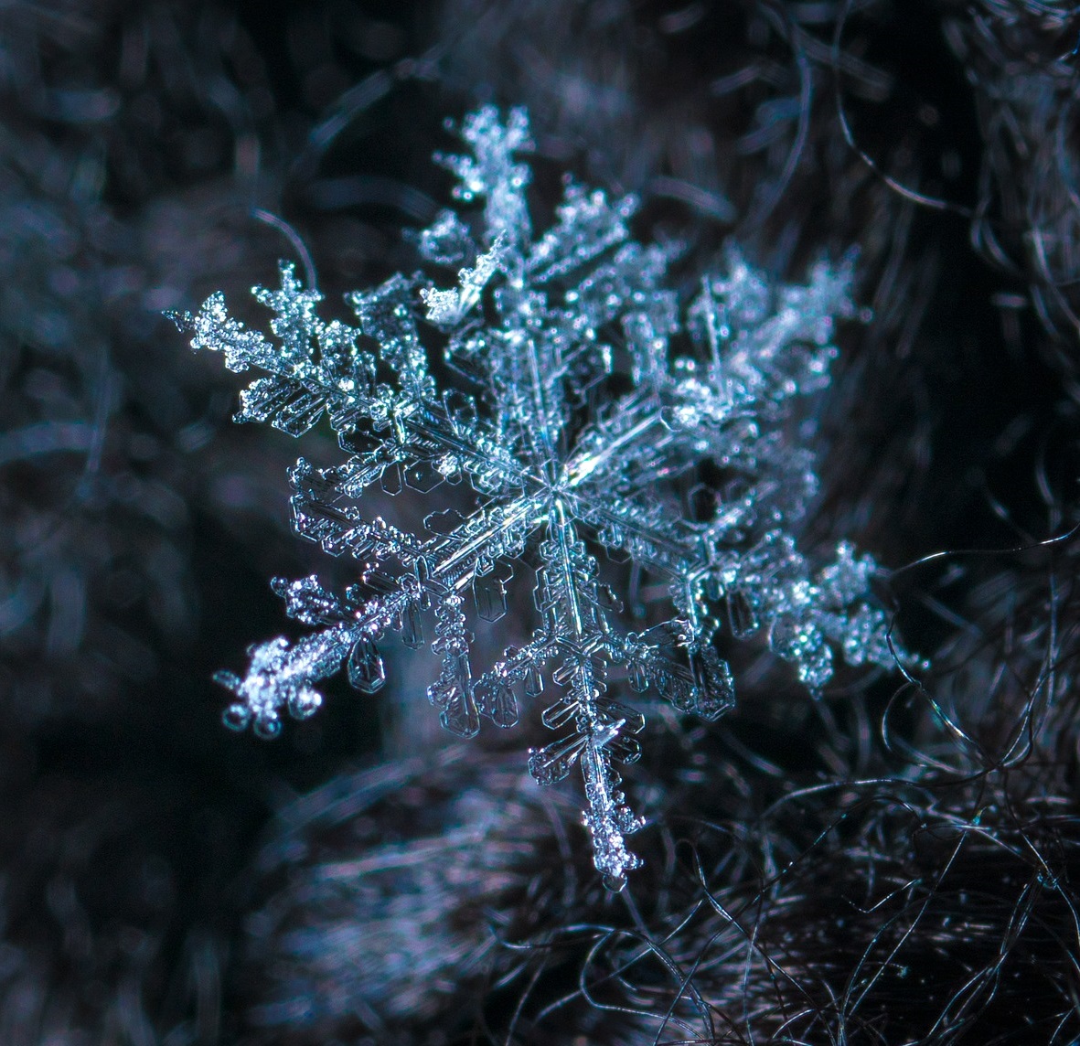 snowflake up close with macro lens