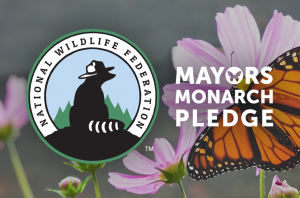National Wildlife Federation Mayors' Monarch Pledge Logo