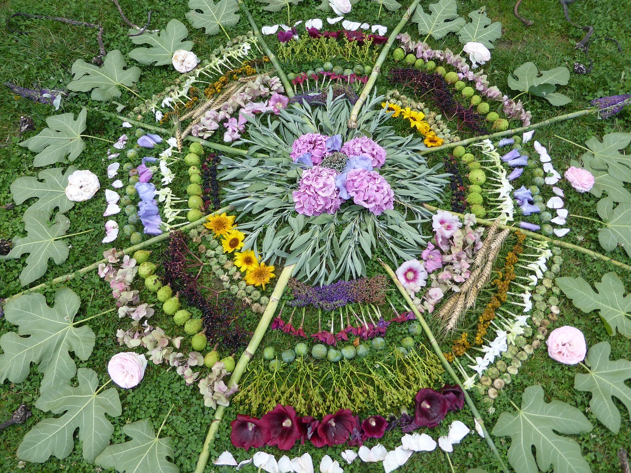Mandala made of flowers and leaves
